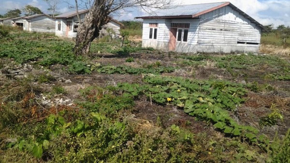 068736000 1531457221 Rumah Transmigran Di Tanakeke